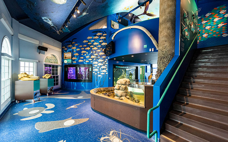 manhattan beach aquarium